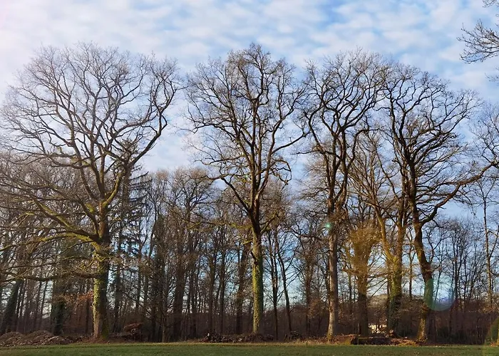 Aux Domaines D'automne Daire